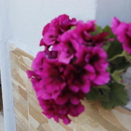 Guesthouse Seli Берат Екстер'єр фото